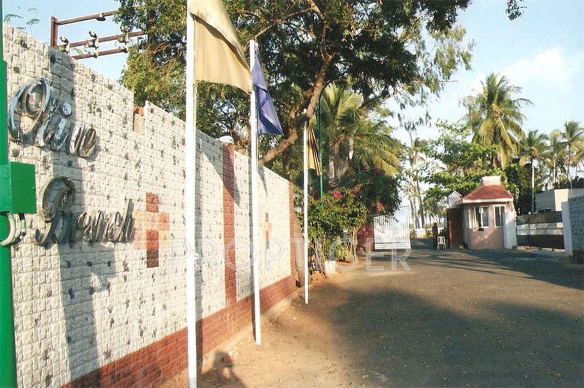 Images for Main Other of Olive Olive Beach