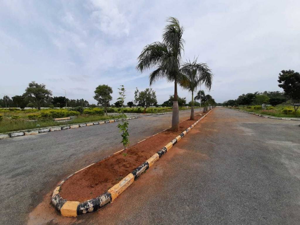  asset bliss Elevation