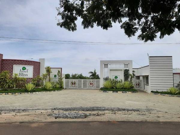  asset-bliss Elevation