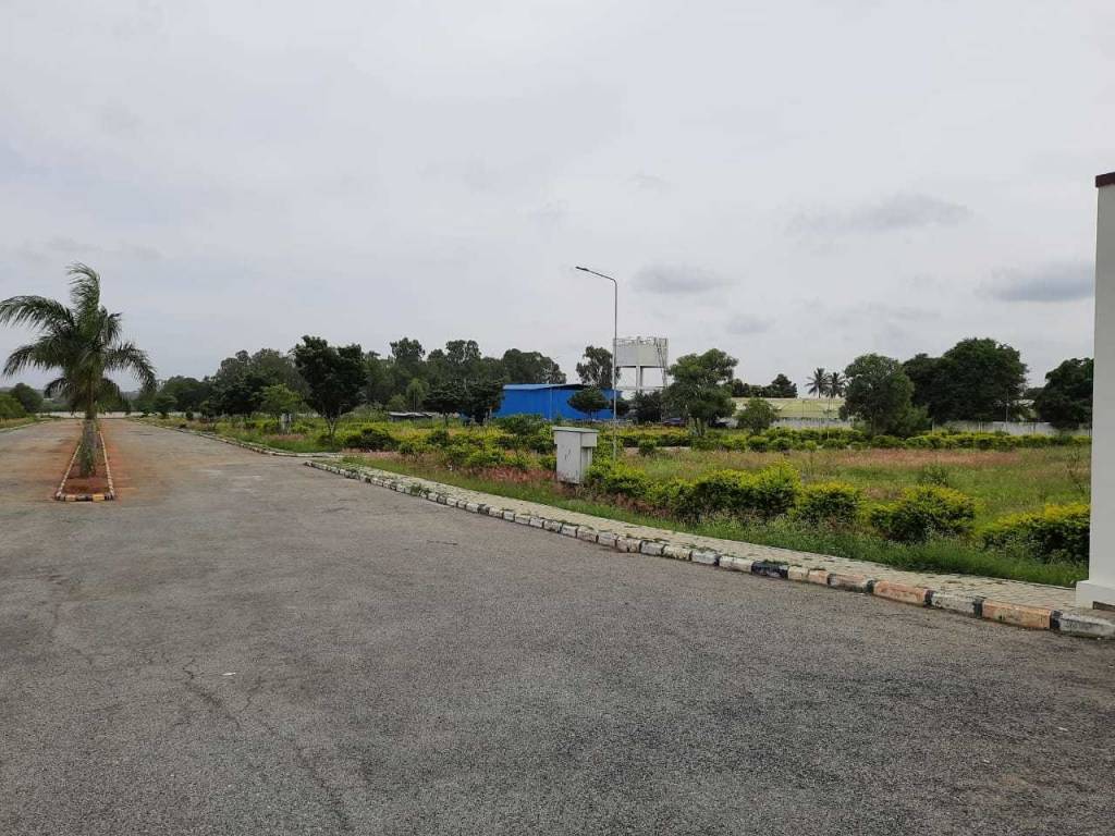  asset bliss Elevation