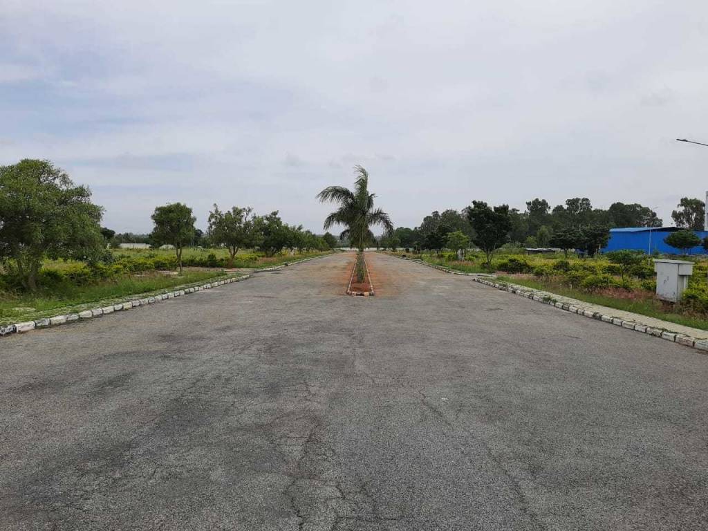  asset bliss Elevation