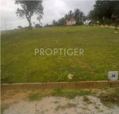 Images for Main Other of Transcity Prasiddhi Images for Main Other of Transcity Prasiddhi