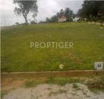 Images for Main Other of Transcity Prasiddhi Images for Main Other of Transcity Prasiddhi