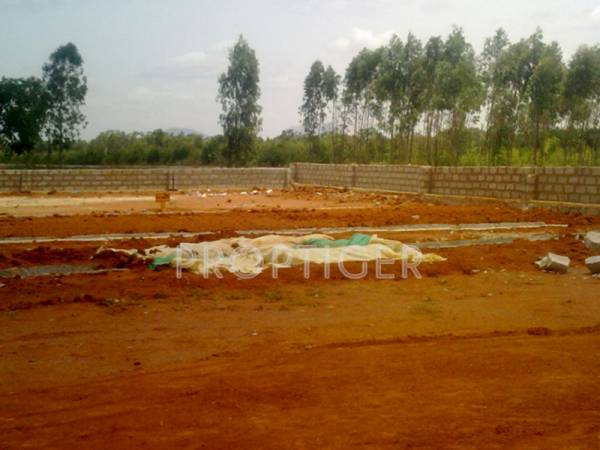 Images for Main Other of Transcity Meadows