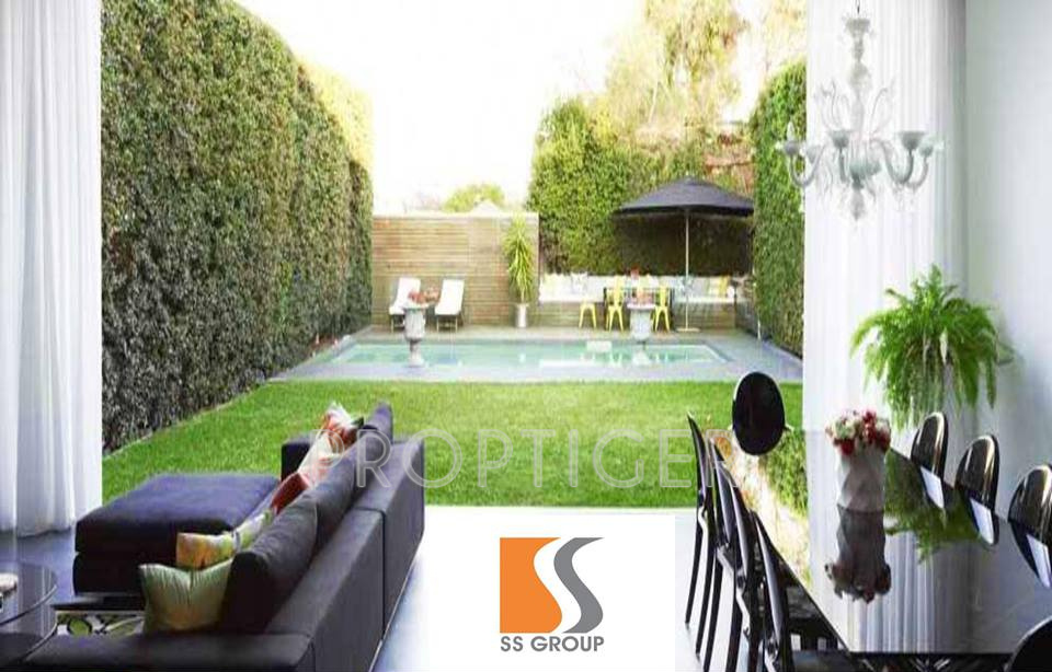 Images for Main Other of SS City Plots