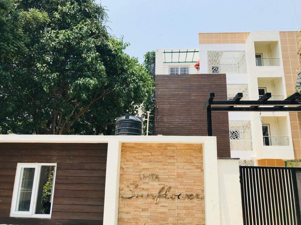  sunflower Images for Project