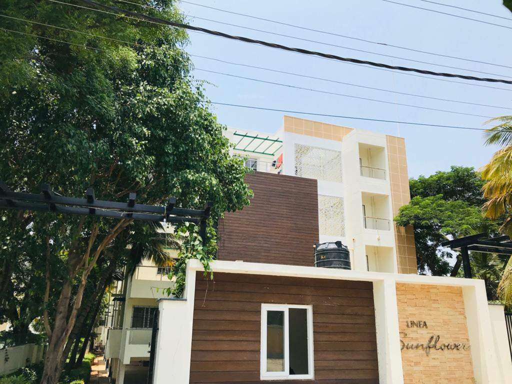  sunflower Images for Project