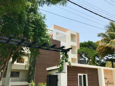  sunflower Images for Project