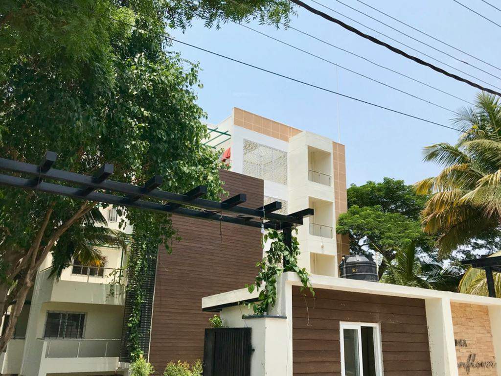  sunflower Images for Project