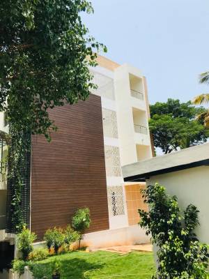  sunflower Images for Project