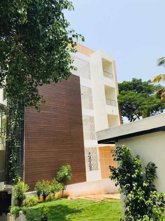  sunflower Images for Project