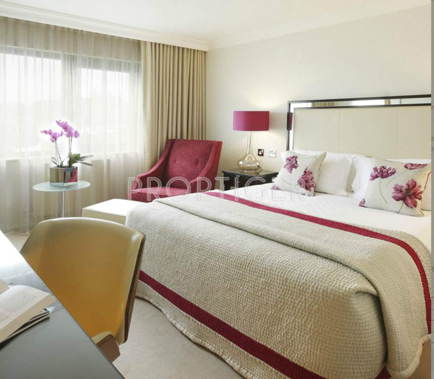 Images for Main Other of Kamla DLH Ornate