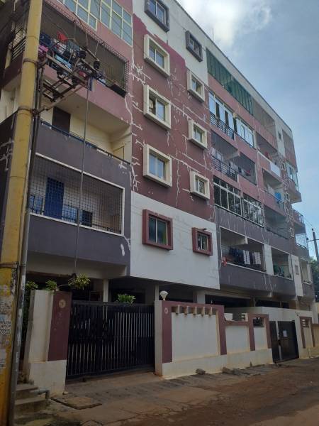 Elevation silver-nest Elevation