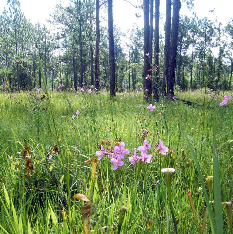  hill home villa Images for Amenities of Silverglades Hill Home Villa