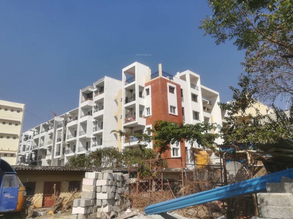 eternia Images for Project