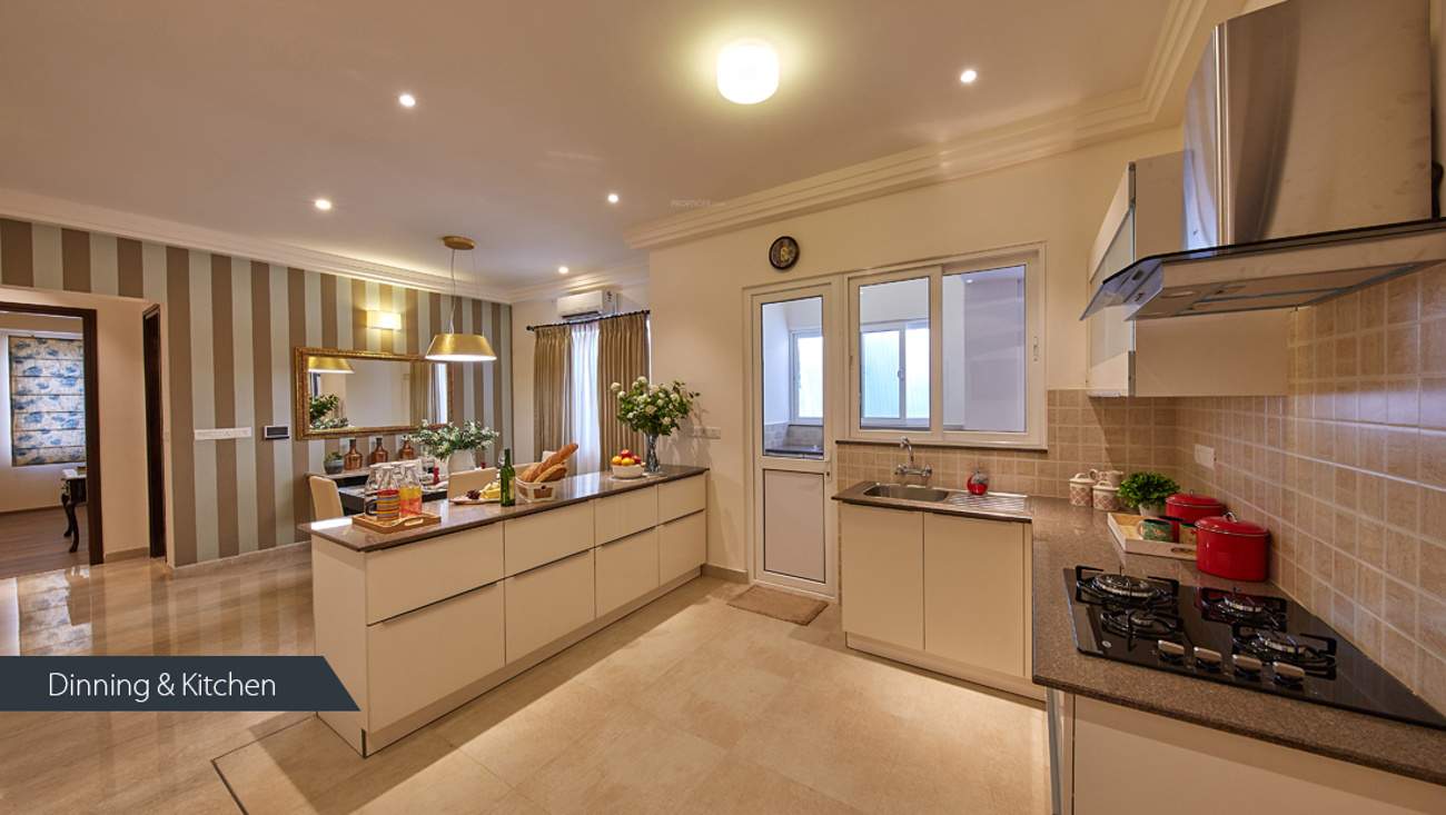  exquisite Images for Main Other of Vaswani Exquisite