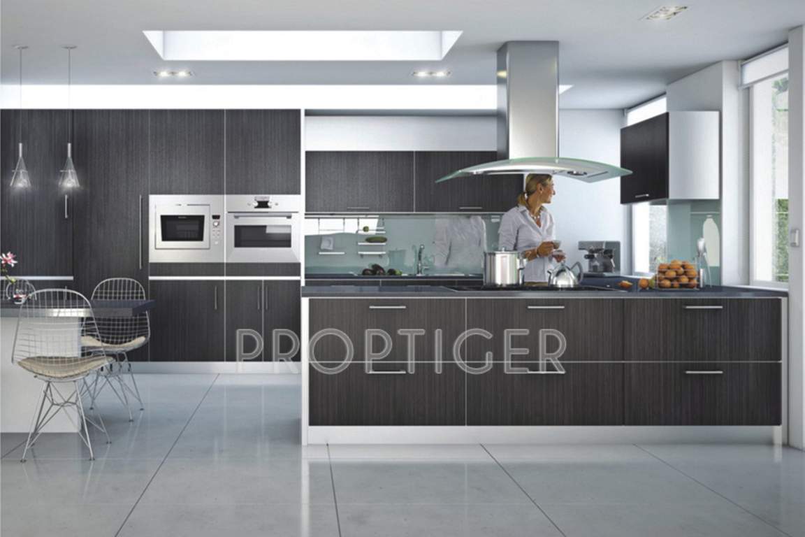 Images for Main Other of Anchor Yash Arian