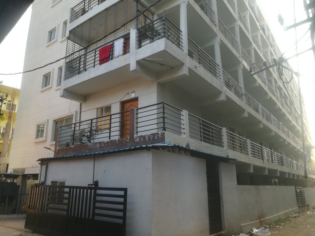  lotus 2 Images for Project