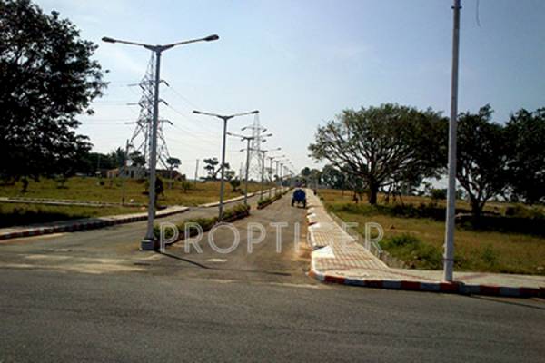 Images for Main Other of MMG Asset Habitat Images for Main Other of MMG Asset Habitat