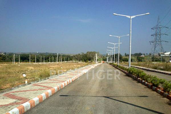 Images for Main Other of MMG Asset Habitat Images for Main Other of MMG Asset Habitat