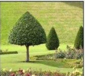  whispering-woods Landscaped Gardens