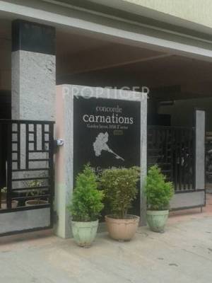 Images for Elevation of Concorde Carnations Images for Elevation of Concorde Carnations