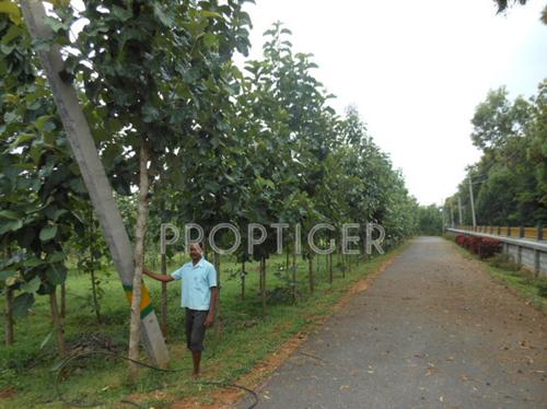 Images for Main Other of YEStates Antillia Teak Garden Images for Main Other of YEStates Antillia Teak Garden