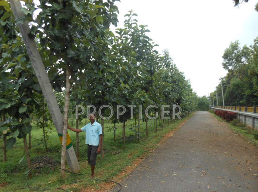 Images for Main Other of YEStates Antillia Teak Garden