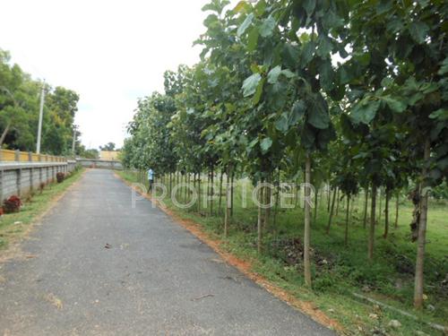 Images for Main Other of YEStates Antillia Teak Garden Images for Main Other of YEStates Antillia Teak Garden