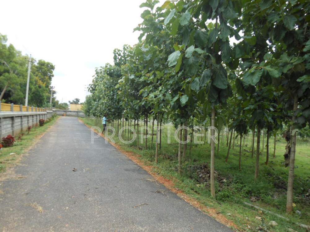 Images for Main Other of YEStates Antillia Teak Garden