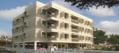 Images for Elevation of Jasmine Floret floret Images for Elevation of Jasmine Floret