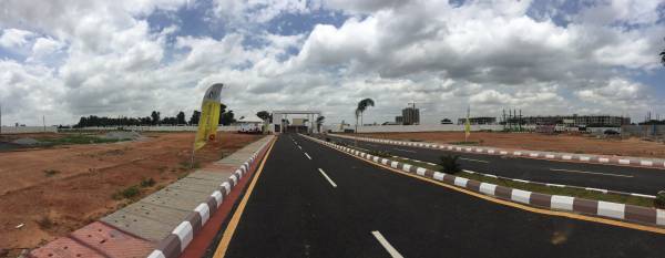 Images for Elevation of MS Sunny Green Woods