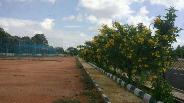  sunny-green-woods Internal Roads