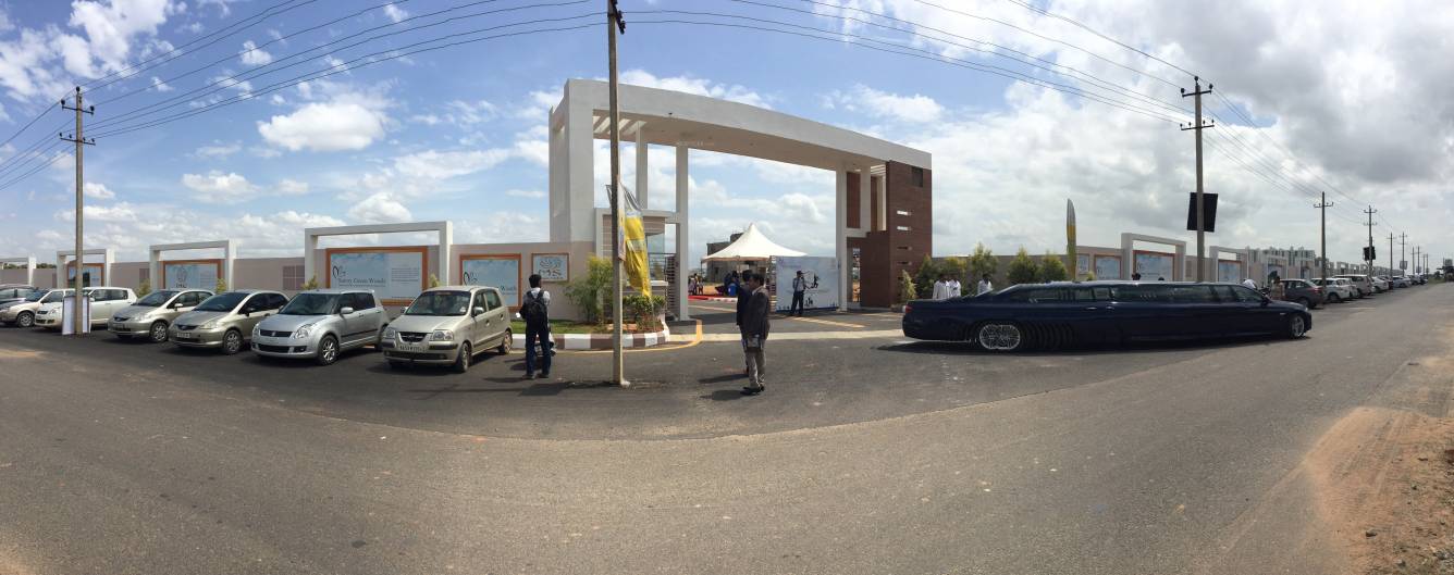 Images for Main Other of MS Sunny Green Woods