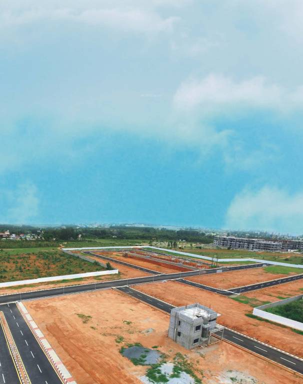 Images for Main Other of MS Sunny Green Woods