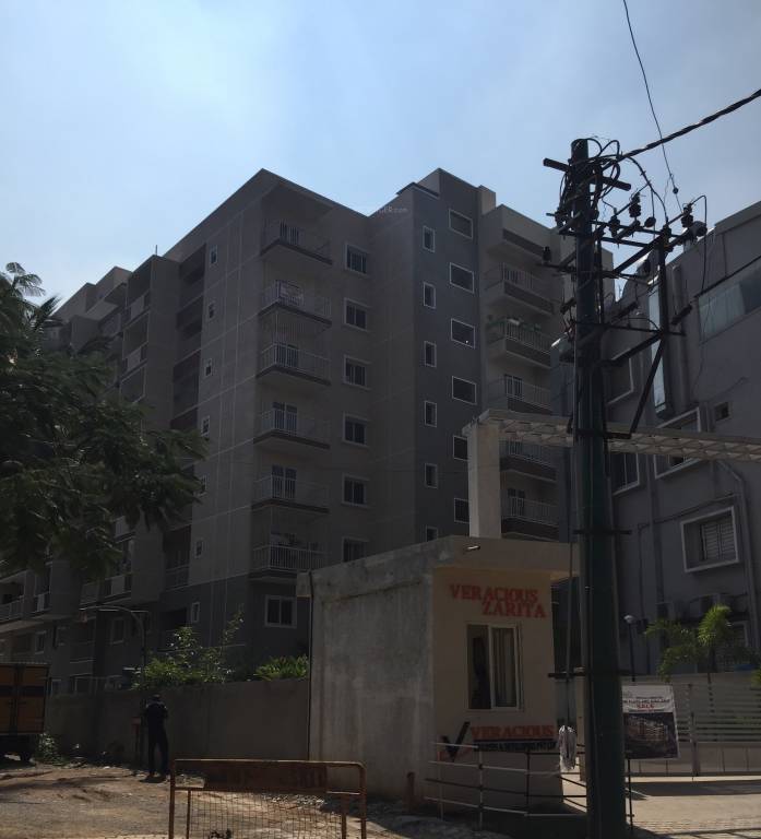 zarita Images for Project