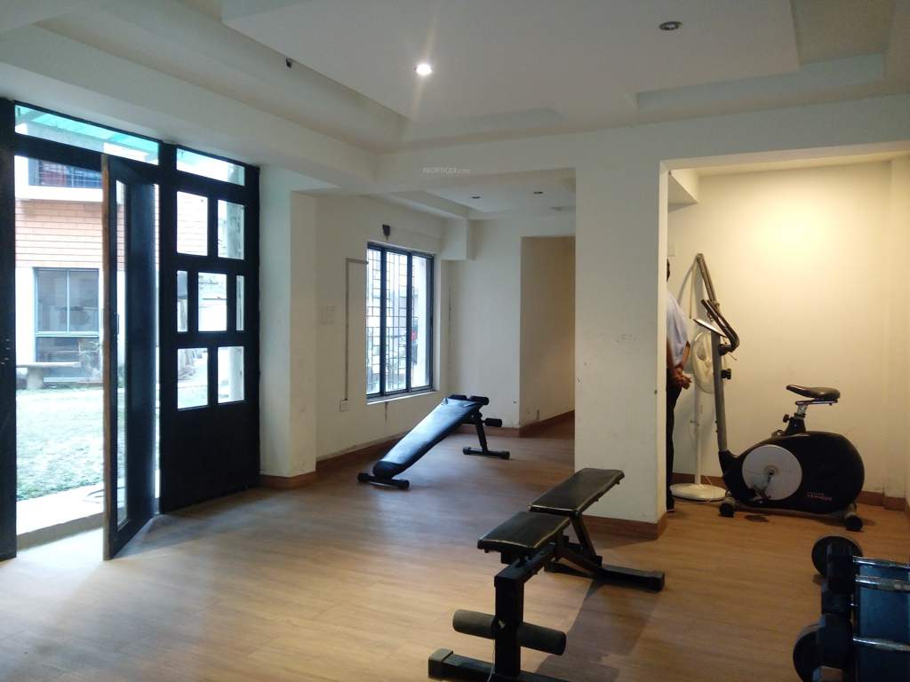 tolly greenwood Gymnasium