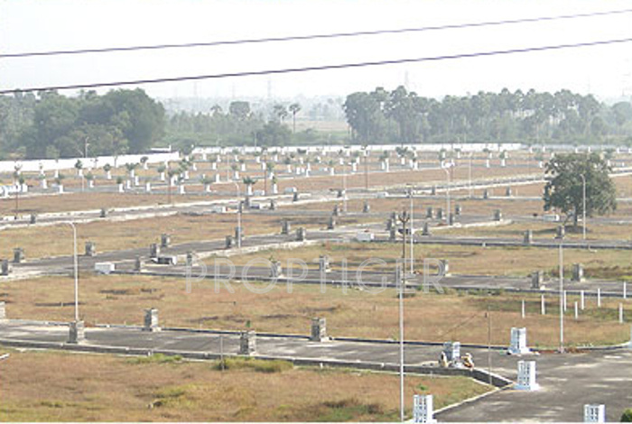 terracon projects royale Main Other