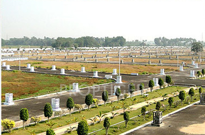 terracon projects royale Main Other