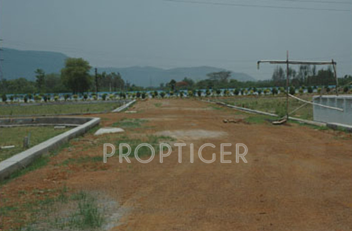 terracon projects royale Main Other