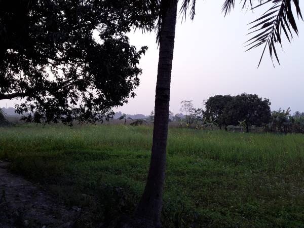 Plot de-nature-plot Plot