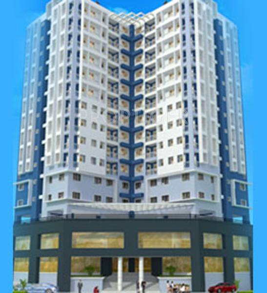 Images for Elevation of Sunpaul Blueberry Images for Elevation of Sunpaul Blueberry