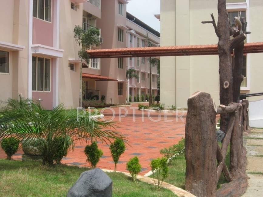  the craft Images for Elevation of Dew The Craft