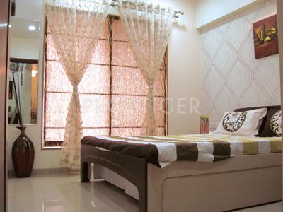 Images for Main Other of Pride Purple Park Express Phase II park-express-phase-ii Images for Main Other of Pride Purple Park Express Phase II