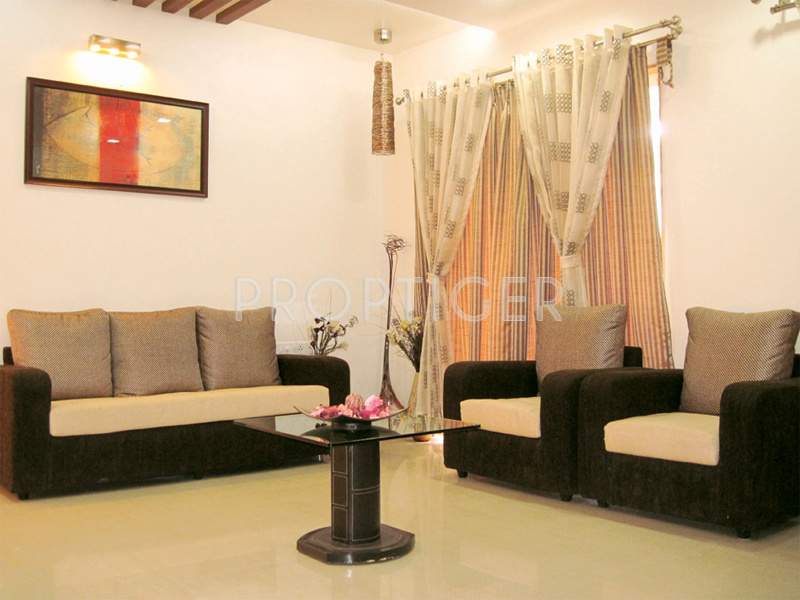  park express phase ii Images for Main Other of Pride Purple Park Express Phase II