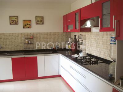 Images for Main Other of Pride Purple Park Express Phase II park-express-phase-ii Images for Main Other of Pride Purple Park Express Phase II