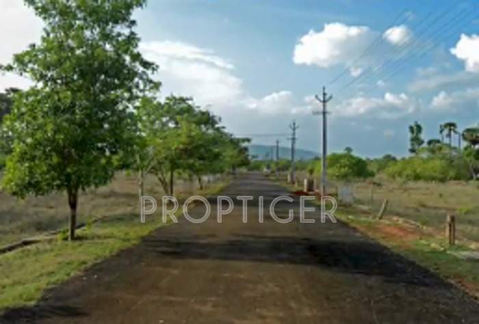 Images for Main Other of Vinayagar Palm County