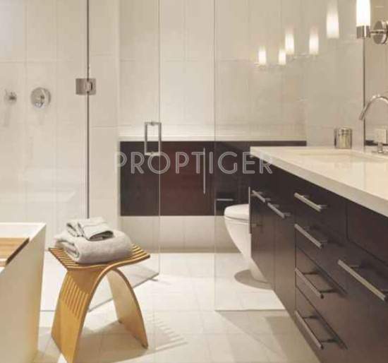  courtyard Images for Main Other of SDC Courtyard