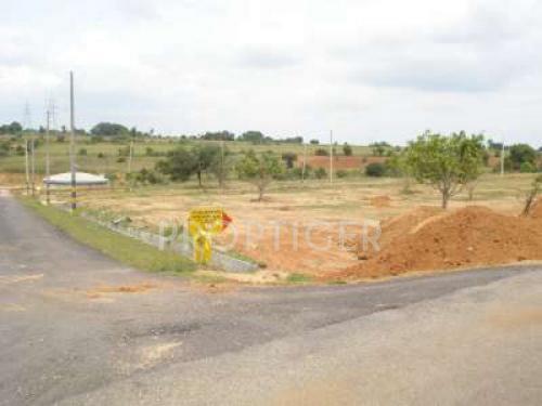 Images for Main Other of Skytop Green City Phase 2 Images for Main Other of Skytop Green City Phase 2