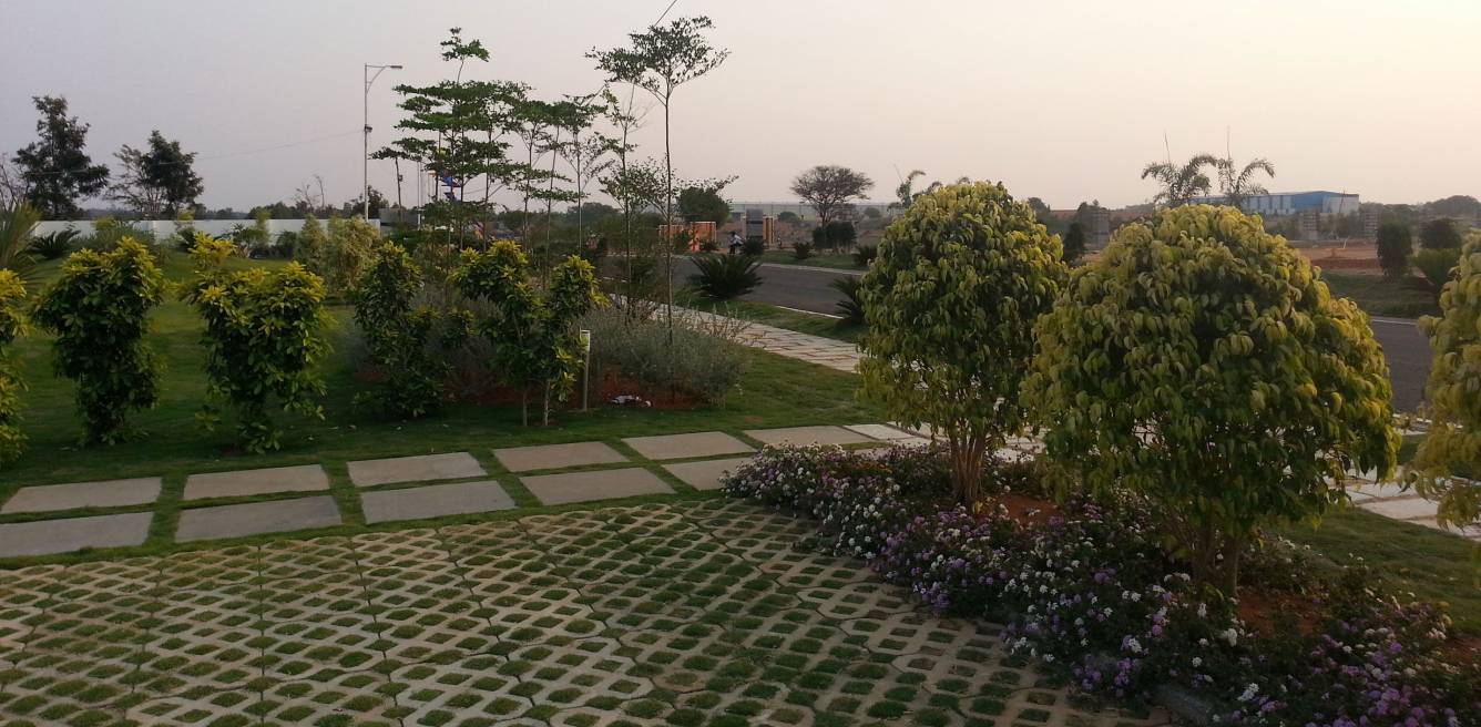 Images for Main Other of Excel Oxygen